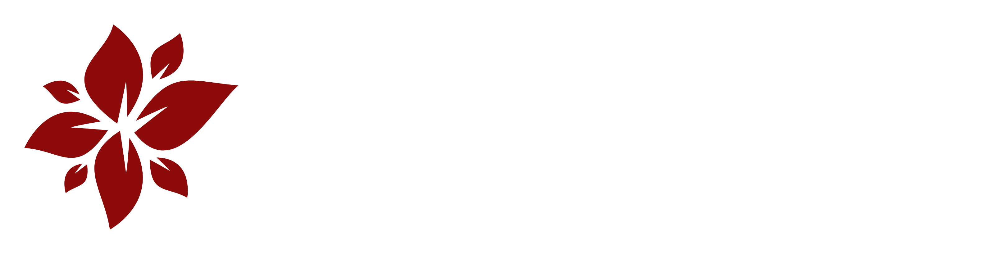 Meesh Mart Logo